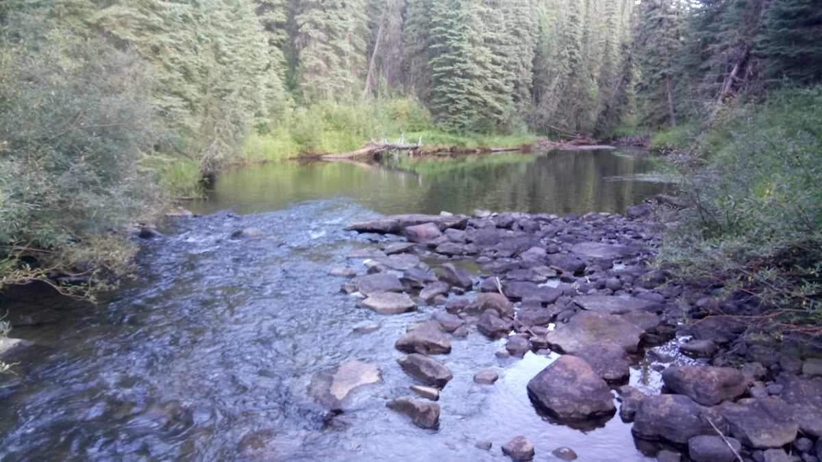 Crosscut Creek : A Year of Fly Fishing on an Ozark Trout Stream See more