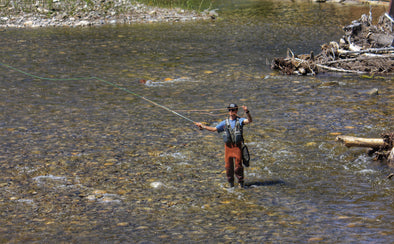5 Must Have Dry Flies in Canada