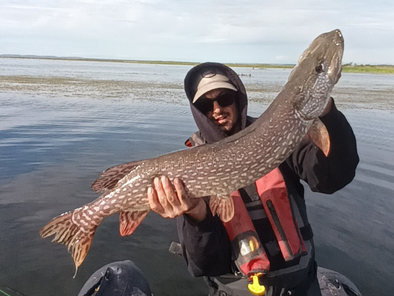 Predator Subscription - Trickflies.ca