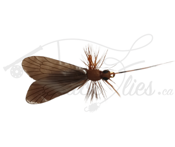 Realistic Adult Caddis Dark Brown - Trickflies.ca