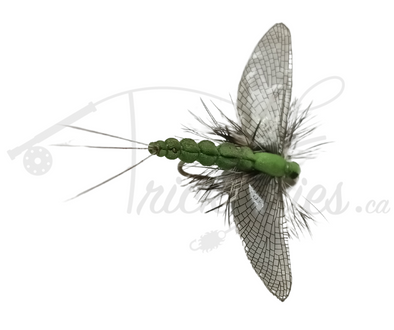 Realistic Spent Mayfly Green - Trickflies.ca