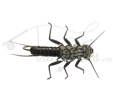 Realistic Stonefly Nymph Black - Trickflies.ca