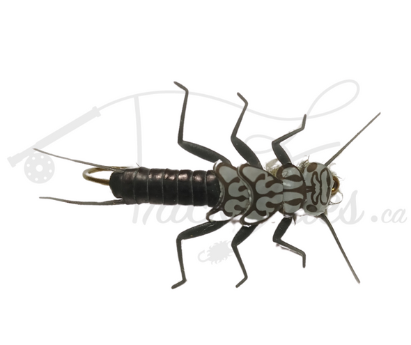 Realistic Stonefly Nymph Black - Trickflies.ca