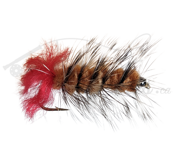 Woolly Worm Brown - Trickflies.ca