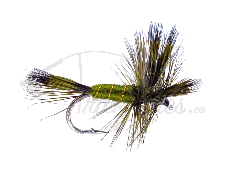 Green best sale drake fly