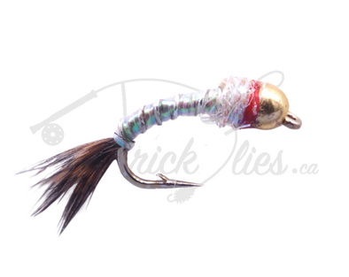 Rainbow Warrior - Trickflies